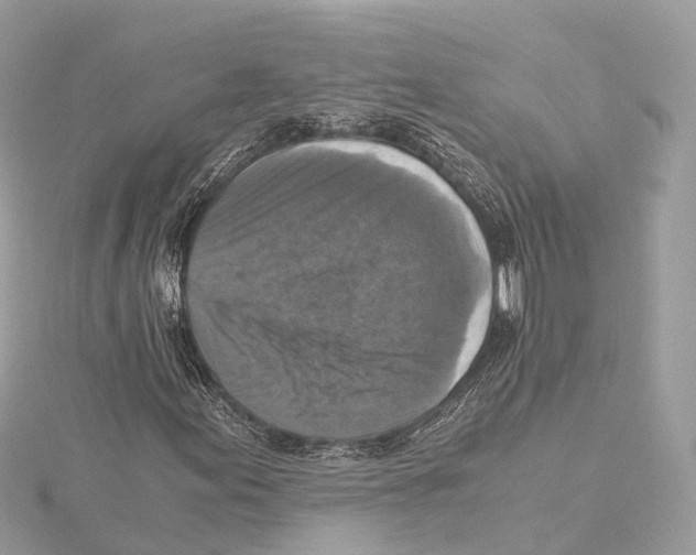 X0000115411155200912011219