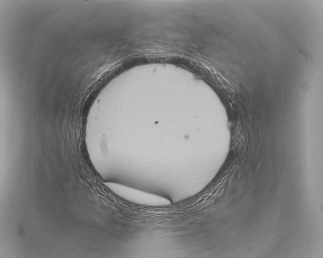 X0000115411157200912011219