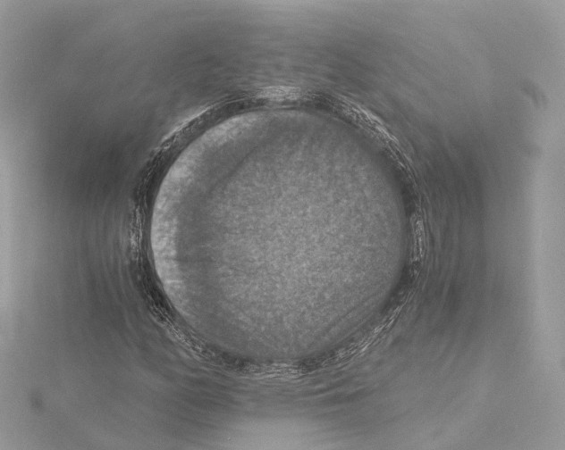 X0000115411158200912011219