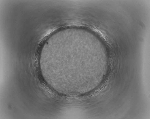 X0000115411159200912011219