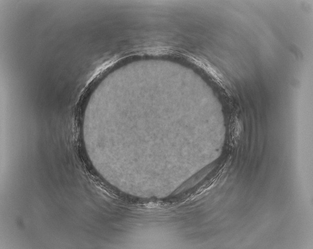 X0000115411160200912011219