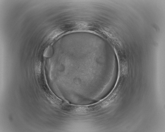 X0000115411161200912011219