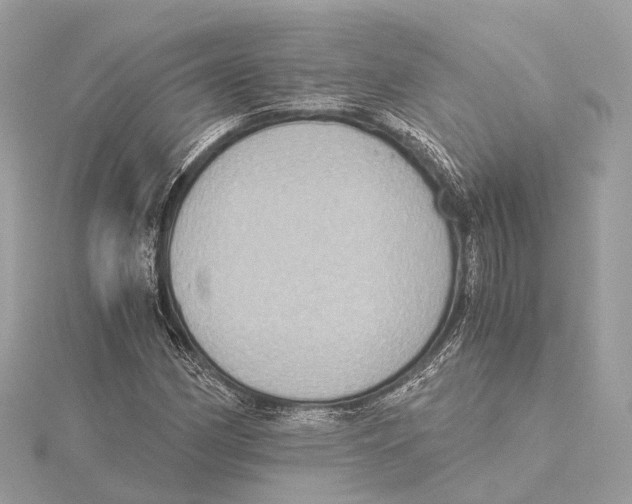 X0000115411162200912011219