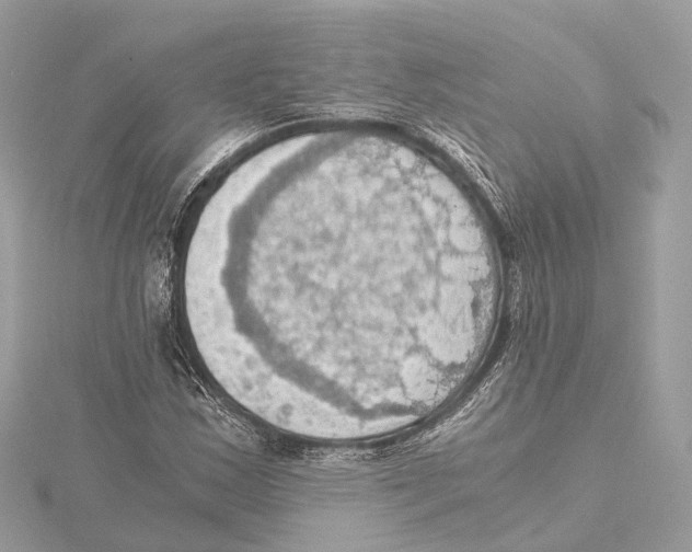 X0000115411163200912011219