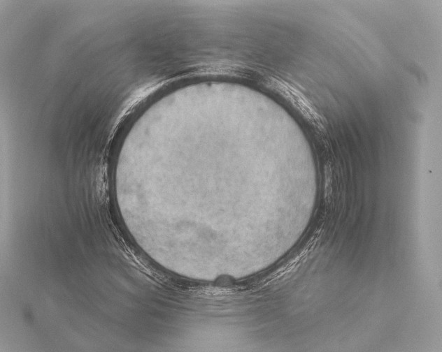 X0000115411164200912011219