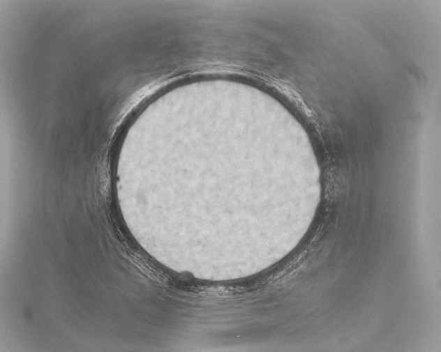 X0000115411167200912011219