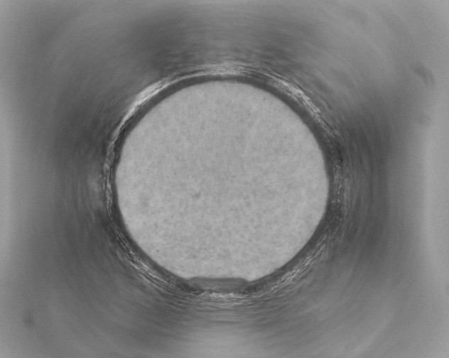 X0000115411168200912011219