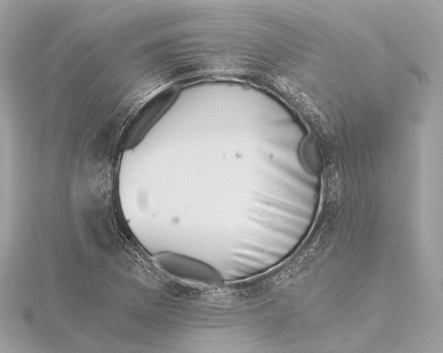 X0000115411169200912011219