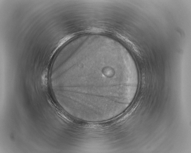 X0000115411170200912011219