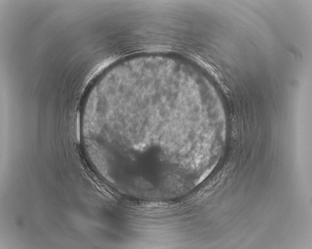 X0000115411171200912011219