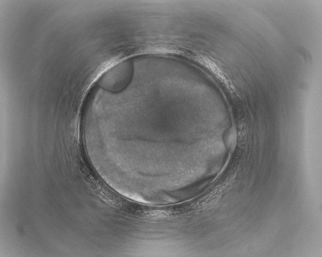 X0000115411173200912011219