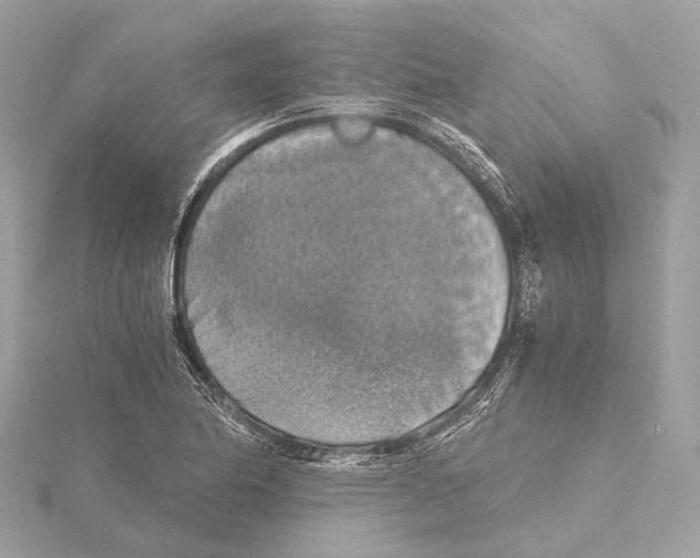 X0000115411174200912011219