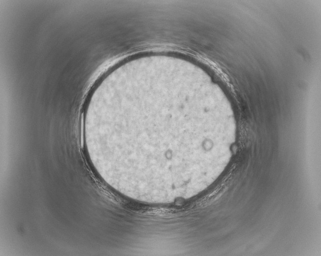 X0000115411175200912011219