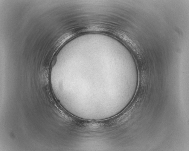 X0000115411177200912011219