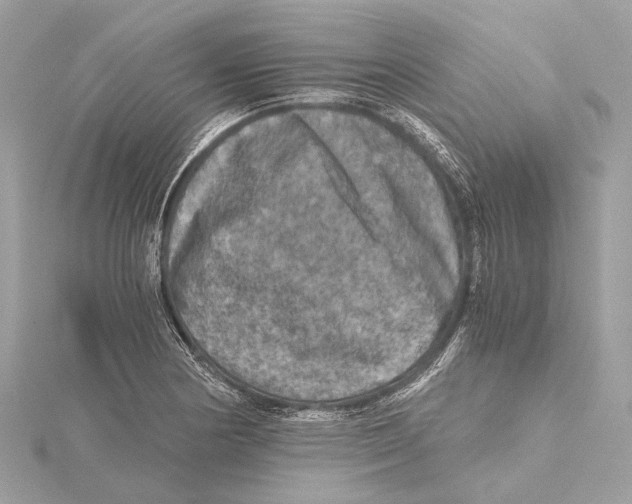 X0000115411178200912011219