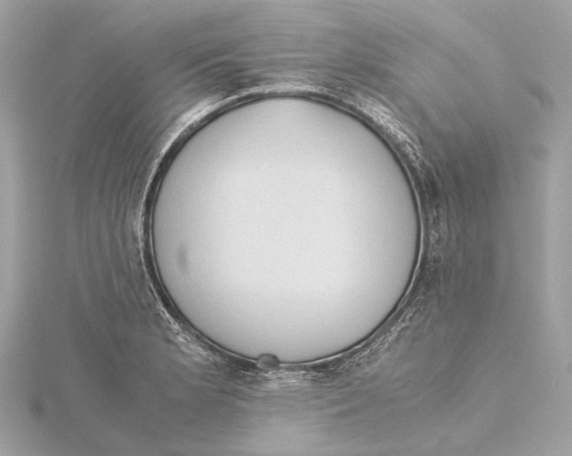 X0000115411181200912011219