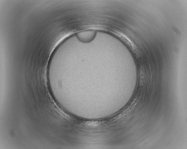 X0000115411182200912011219