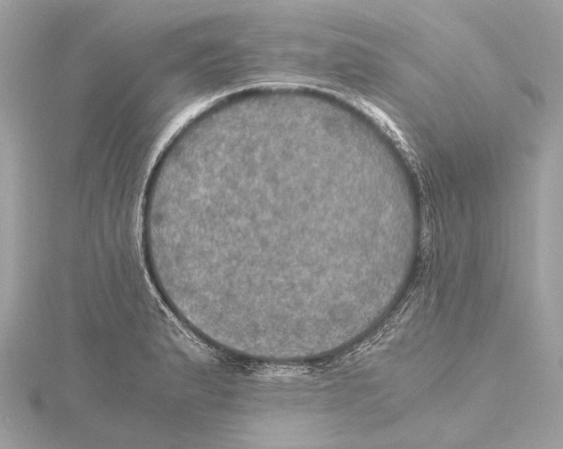 X0000115411183200912011219