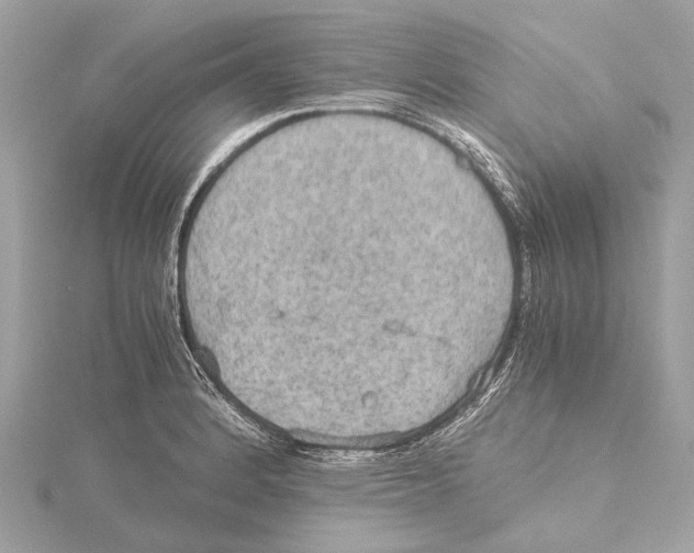 X0000115411184200912011219