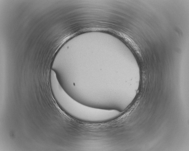 X0000115411185200912011219