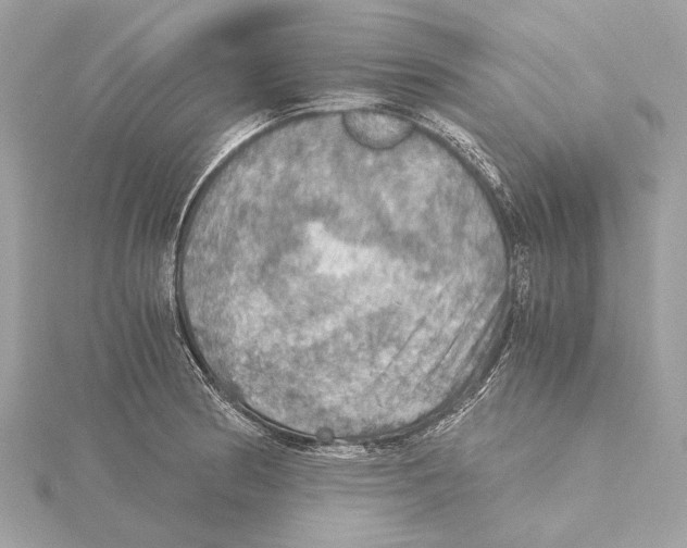 X0000115411186200912011219