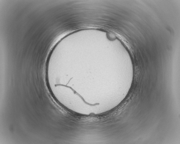 X0000115411187200912011219