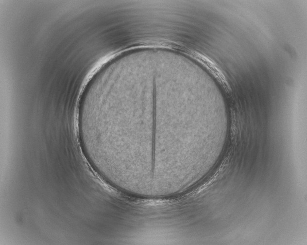 X0000115411188200912011219