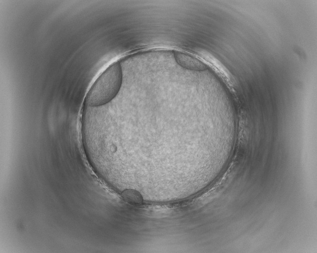 X0000115411190200912011219