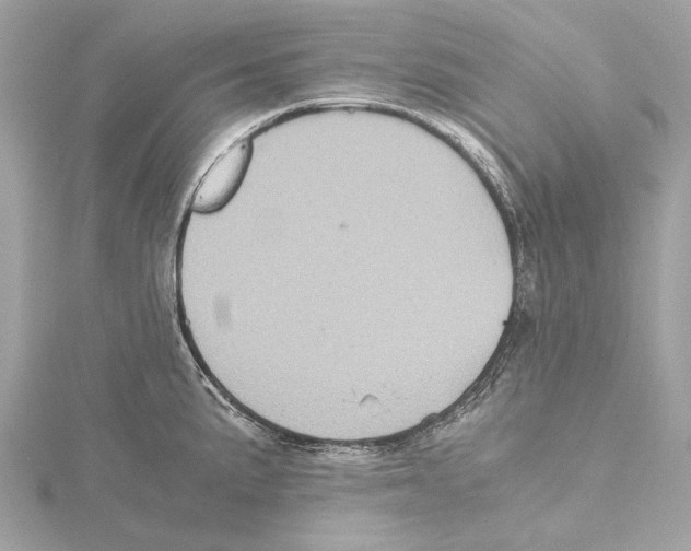 X0000115411191200912011219