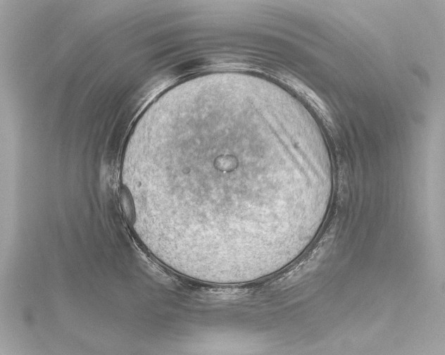 X0000115411193200912011219