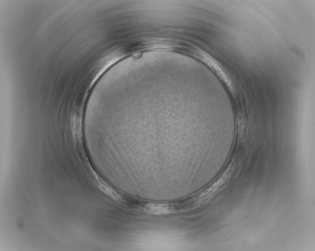 X0000115411194200912011219