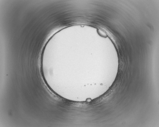 X0000115411195200912011219