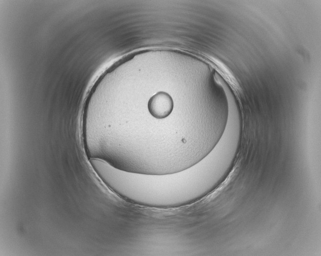 X0000115411196200912011219