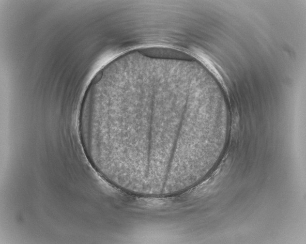 X0000115411197200912011219