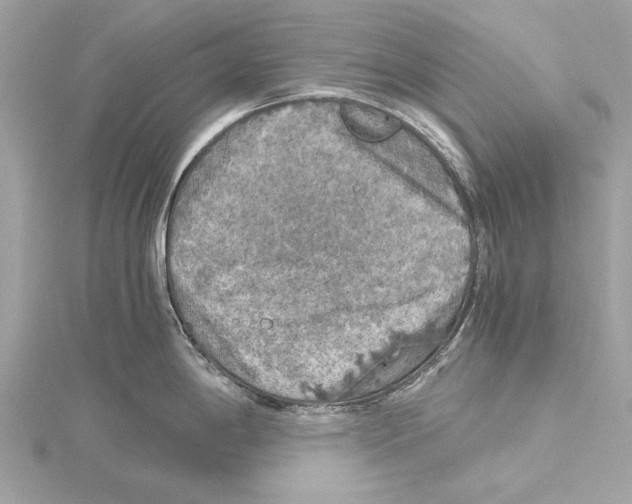 X0000115411198200912011219