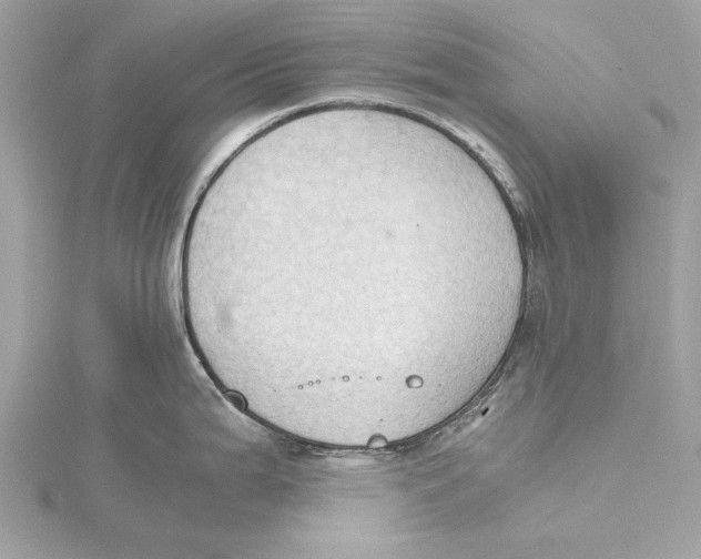 X0000115411199200912011219