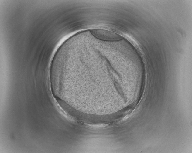 X0000115411200200912011219