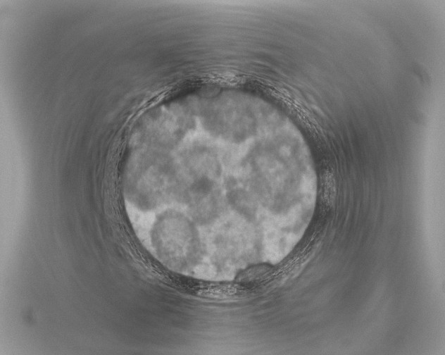 X0000115411201200912011218