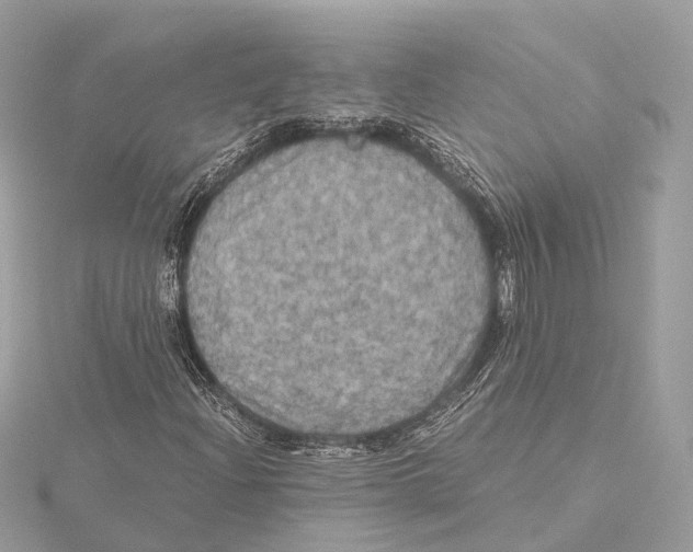 X0000115411204200912011218