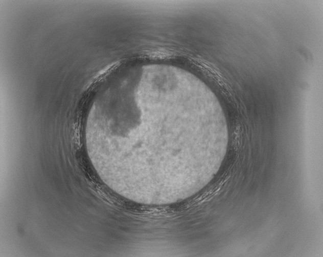 X0000115411205200912011218