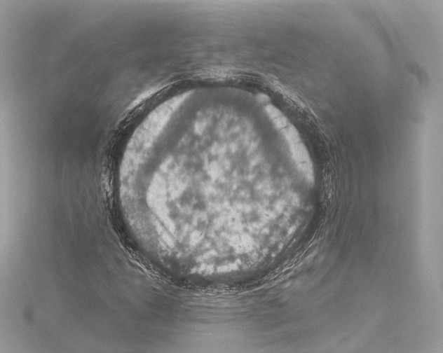 X0000115411206200912011218