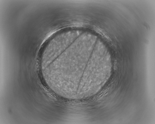 X0000115411208200912011218