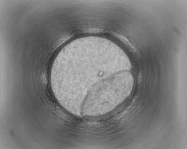 X0000115411209200912011218