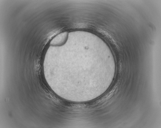 X0000115411210200912011218