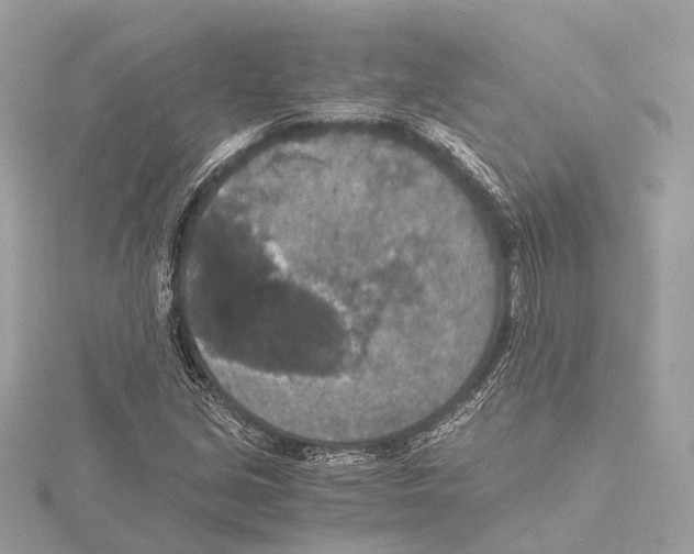 X0000115411213200912011218