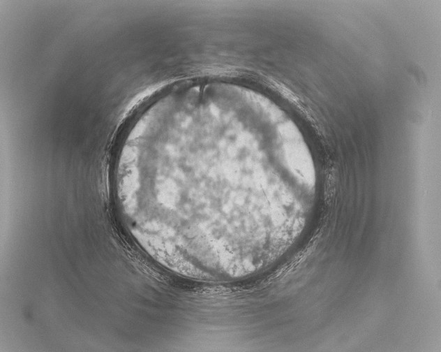 X0000115411214200912011218