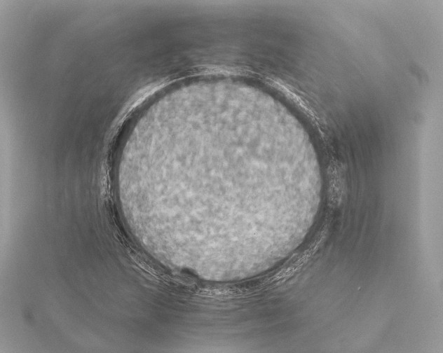 X0000115411215200912011218