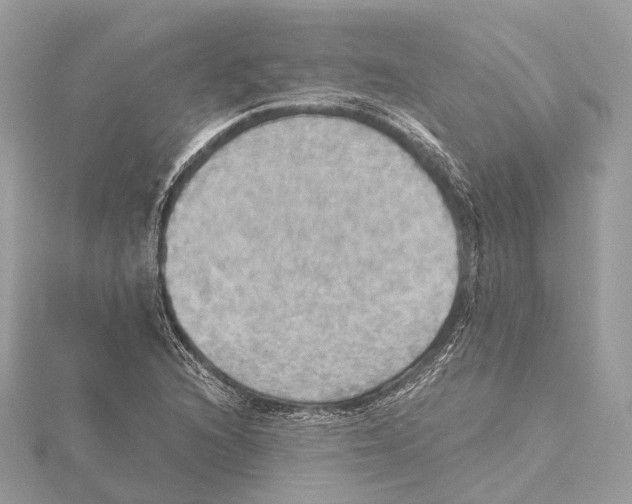 X0000115411216200912011218