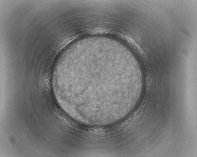 X0000115411217200912011218