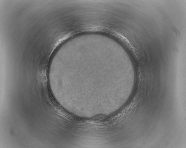 X0000115411218200912011218